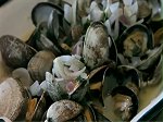 recipe easy steamed clams